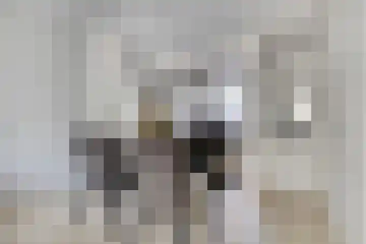Minoes erf 37 Capelle aan den IJssel thumbnail 9