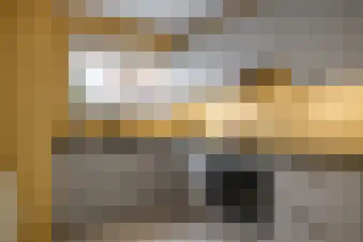 Minoes erf 59 Capelle aan den IJssel thumbnail 11