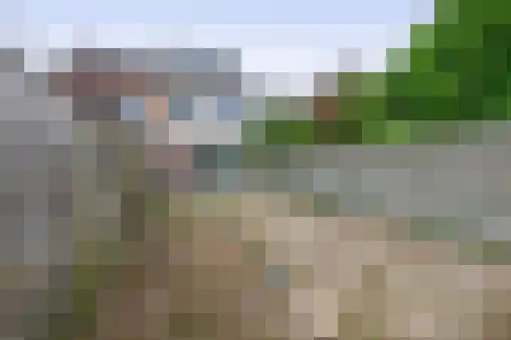 Minoes erf 59 Capelle aan den IJssel thumbnail 19