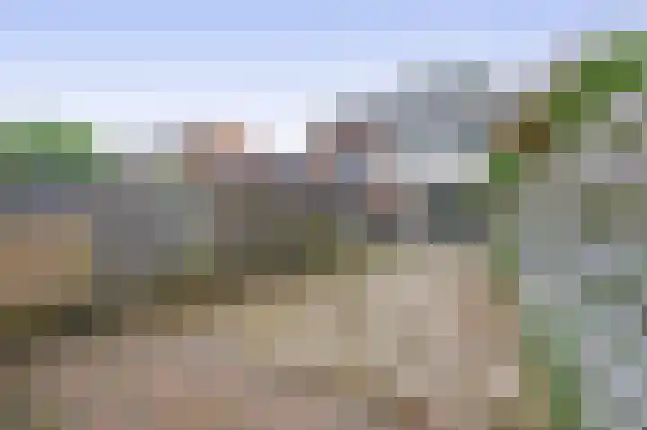 Minoes erf 59 Capelle aan den IJssel thumbnail 20