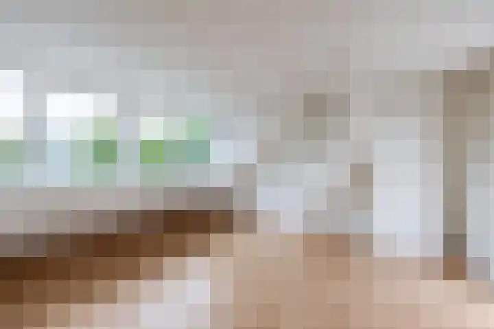 Minoes erf 59 Capelle aan den IJssel thumbnail 34