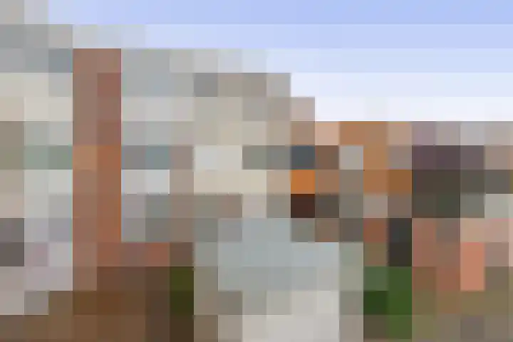 Minoes erf 59 Capelle aan den IJssel thumbnail 37