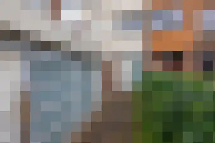 Minoes erf 59 Capelle aan den IJssel thumbnail 38