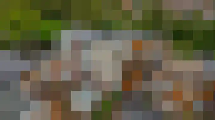 Minoes erf 59 Capelle aan den IJssel thumbnail 39