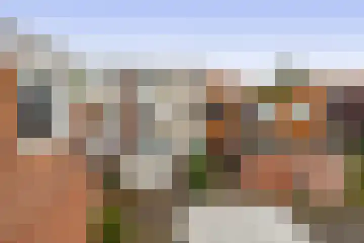 Minoes erf 59 Capelle aan den IJssel thumbnail 40
