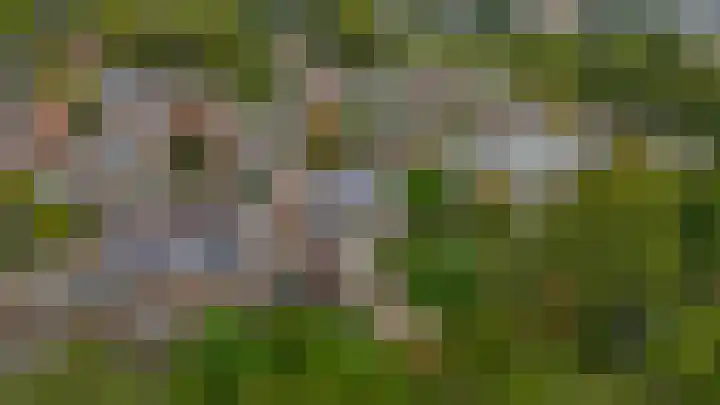 Minoes erf 59 Capelle aan den IJssel thumbnail 41