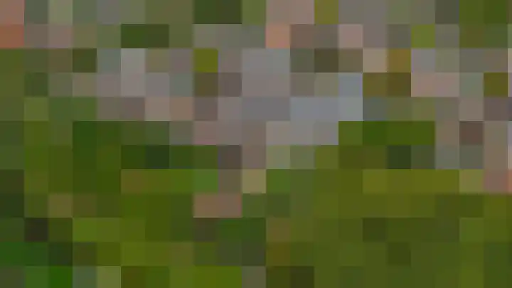 Minoes erf 59 Capelle aan den IJssel thumbnail 42