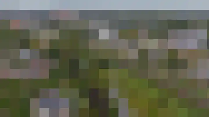 Minoes erf 59 Capelle aan den IJssel thumbnail 45