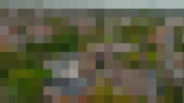Minoes erf 59 Capelle aan den IJssel thumbnail 48