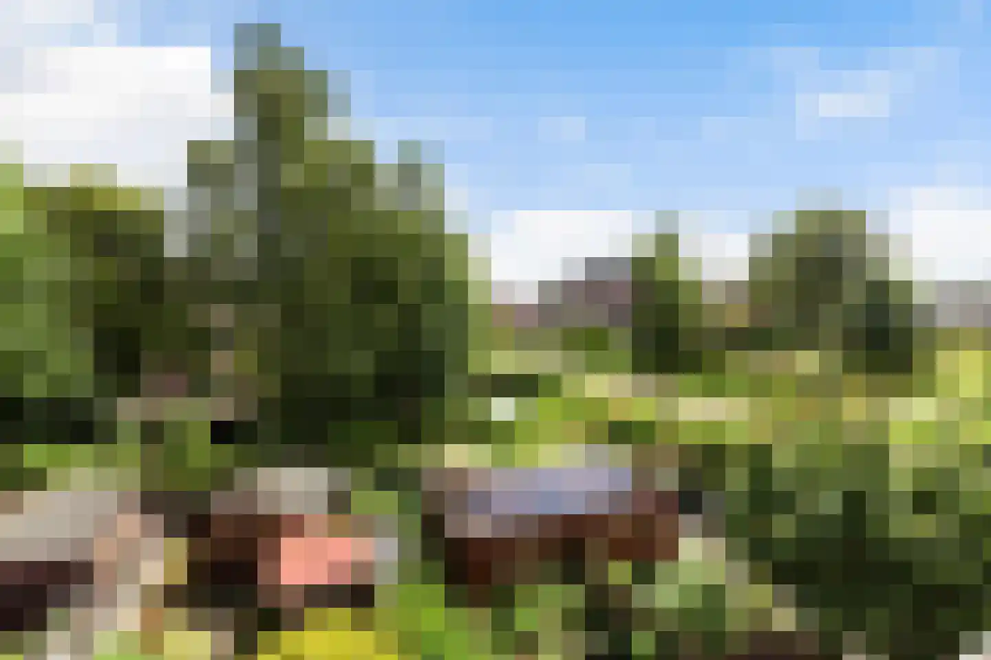 Minoes erf 71 Capelle aan den IJssel thumbnail 12