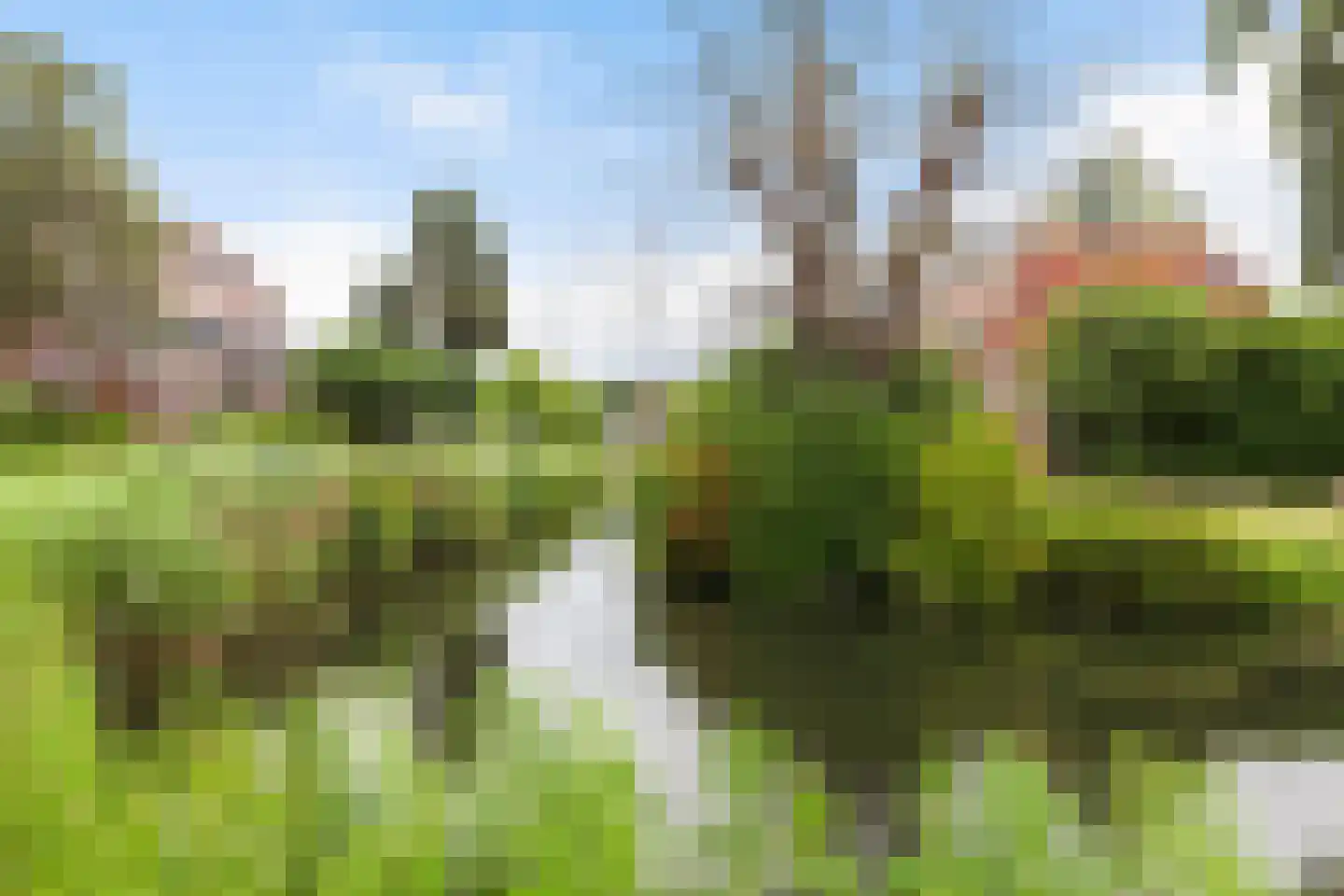 Minoes erf 71 Capelle aan den IJssel thumbnail 33