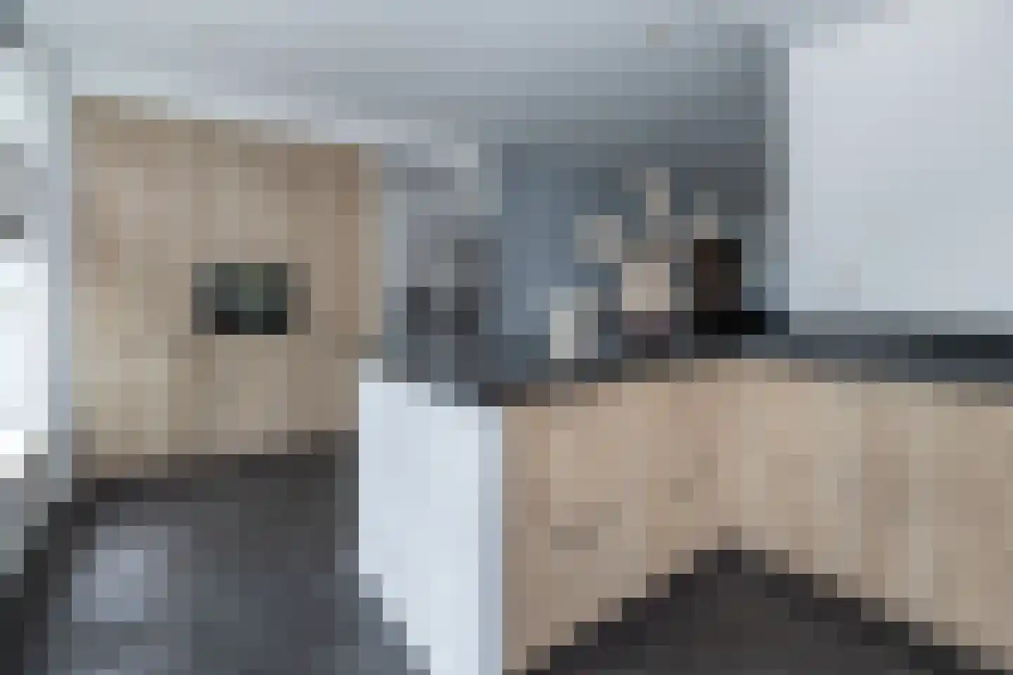 Minorcalaan 11 Barneveld thumbnail 11