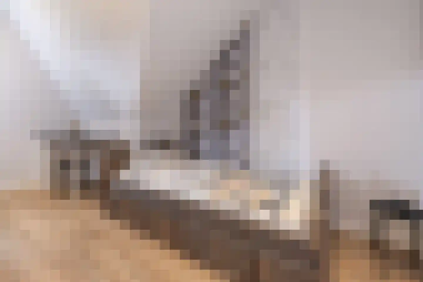 Minorcalaan 11 Barneveld thumbnail 32