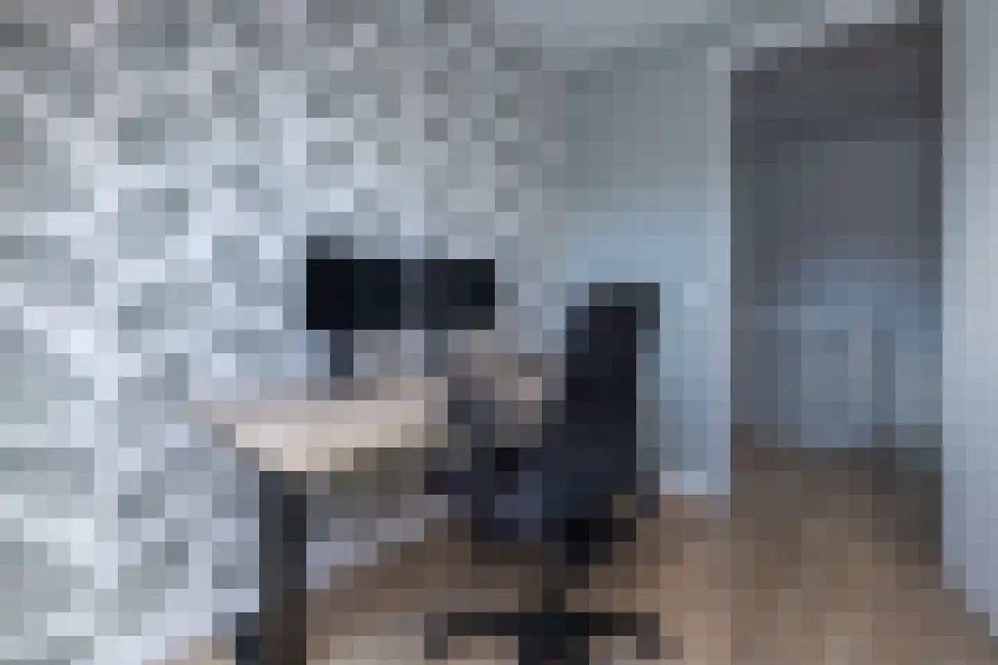 Minorcalaan 11 Barneveld thumbnail 37