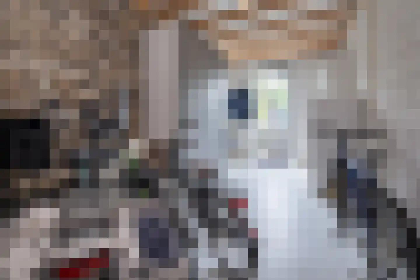 Minorcalaan 11 Barneveld thumbnail 40
