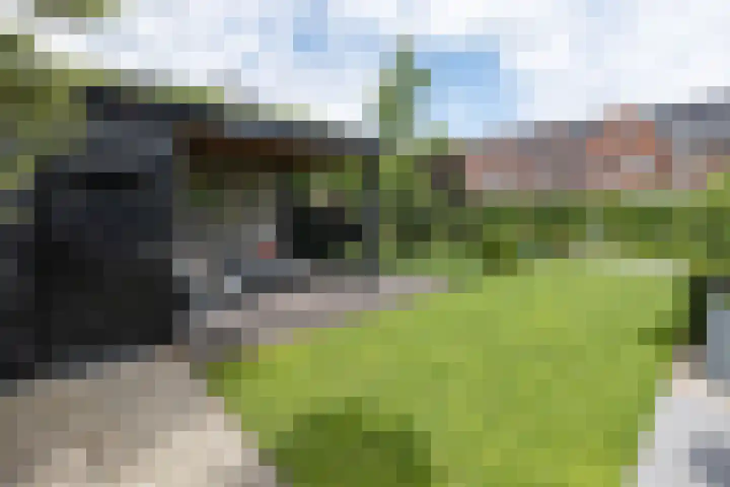 Minorcalaan 11 Barneveld thumbnail 46