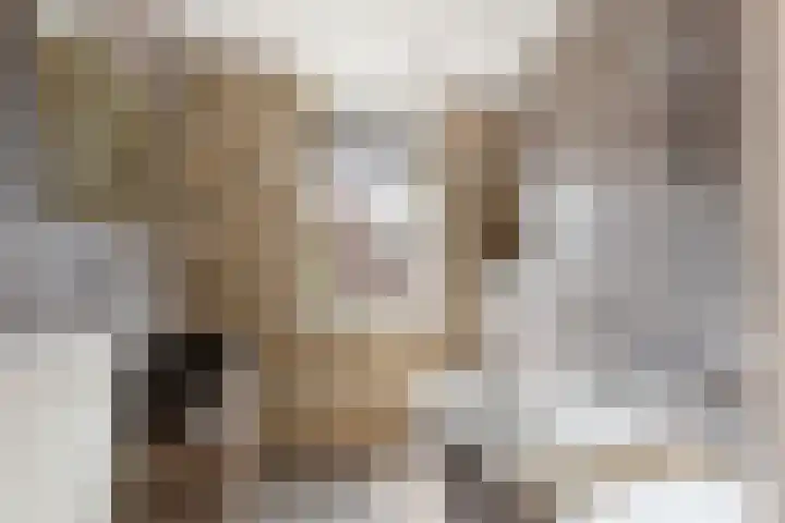 Minorcalaan 23 Barneveld thumbnail 13