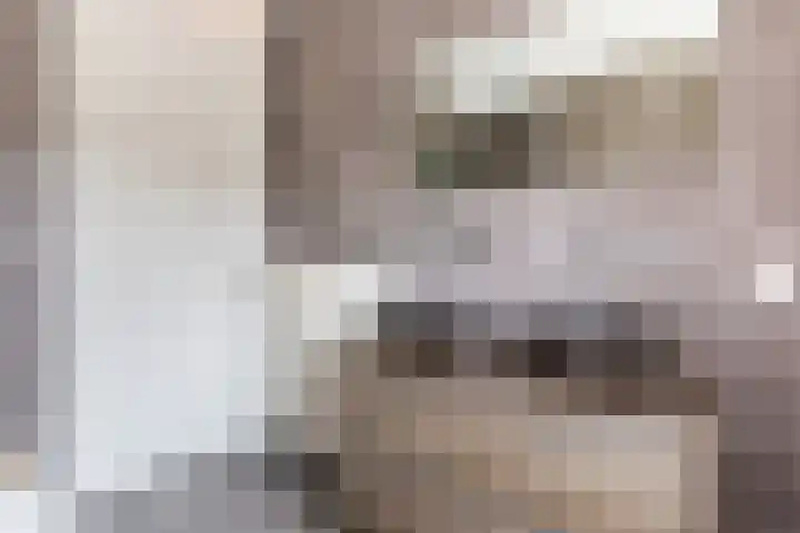 Minorcalaan 23 Barneveld thumbnail 15