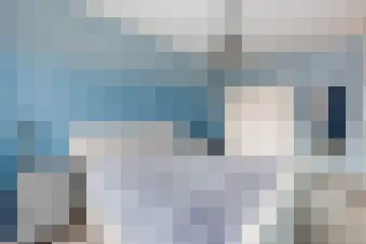 Minorcalaan 23 Barneveld thumbnail 17