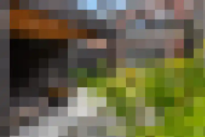 Minorcalaan 23 Barneveld thumbnail 29