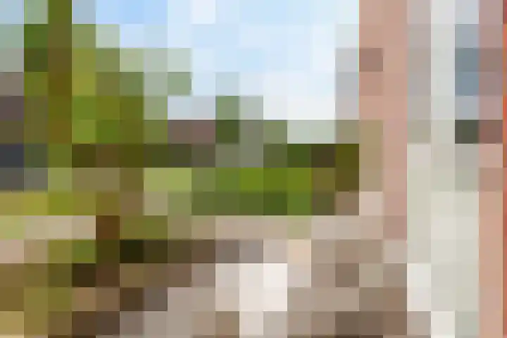 Minorcalaan 23 Barneveld thumbnail 33