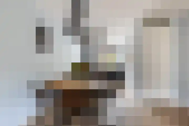 Minorcalaan 23 Barneveld thumbnail 8