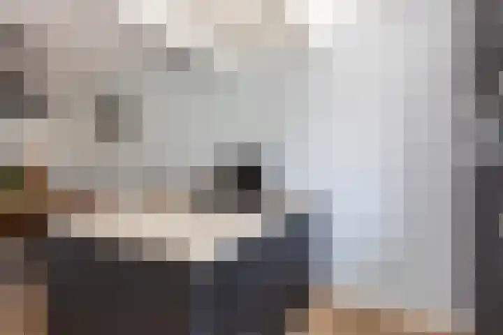 Minorcalaan 23 Barneveld thumbnail 9