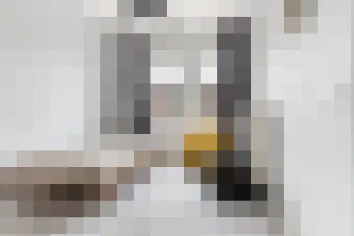 Minorcalaan 25 Barneveld thumbnail 22