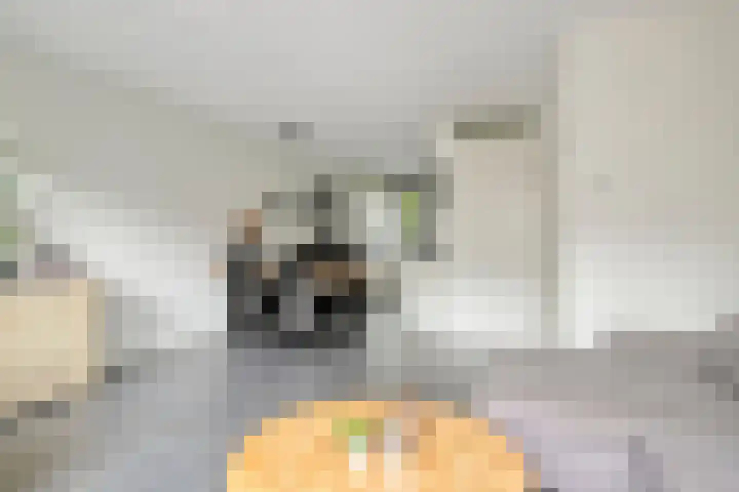 Minorcalaan 27 Barneveld thumbnail 11