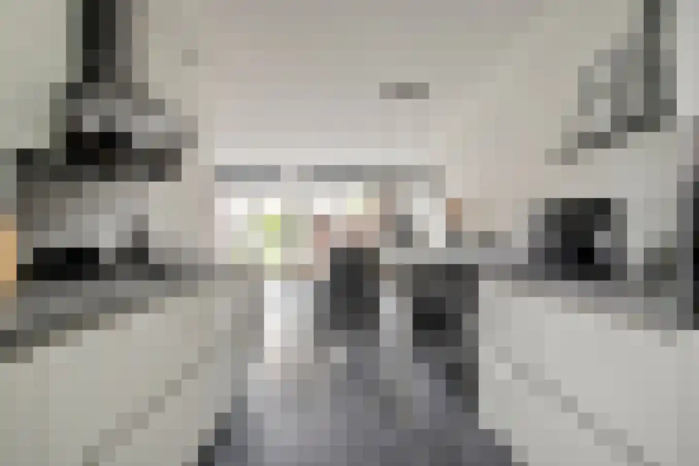 Minorcalaan 27 Barneveld thumbnail 15
