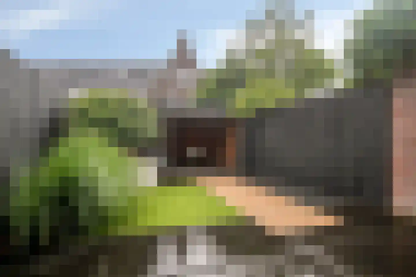 Minorcalaan 27 Barneveld thumbnail 26