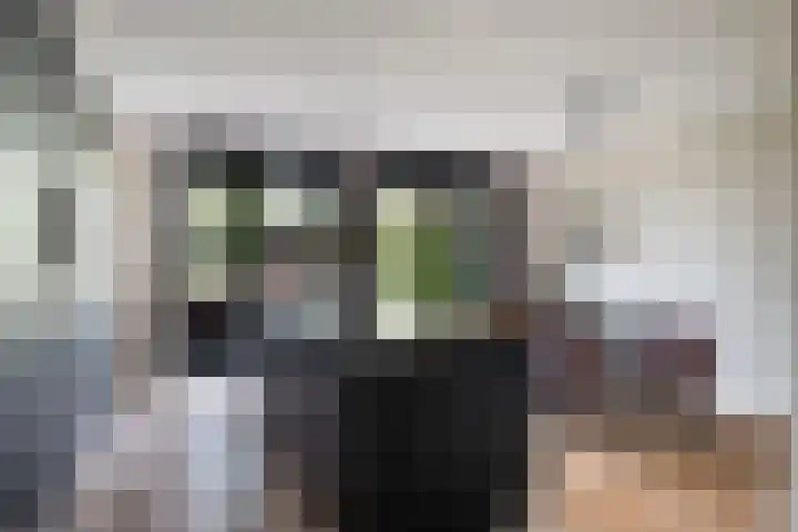 Minorcalaan 3 Barneveld thumbnail 10
