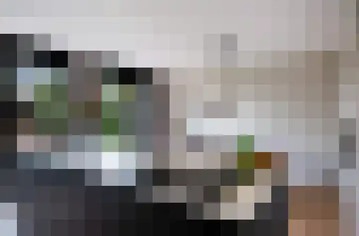 Minorcalaan 3 Barneveld thumbnail 14