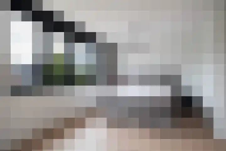 Minorcalaan 3 Barneveld thumbnail 17