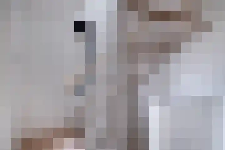 Minorcalaan 3 Barneveld thumbnail 27