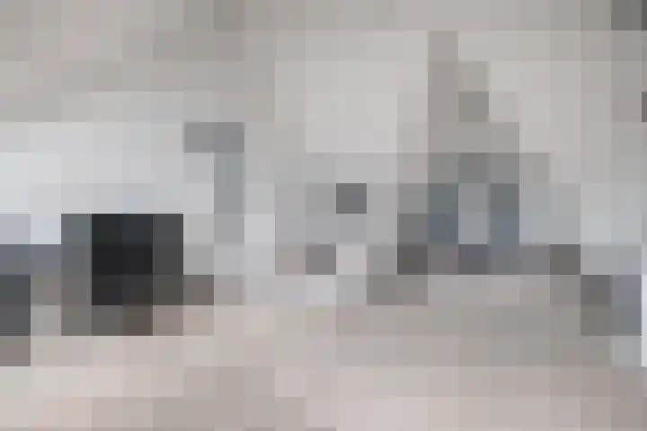 Minorcalaan 3 Barneveld thumbnail 29