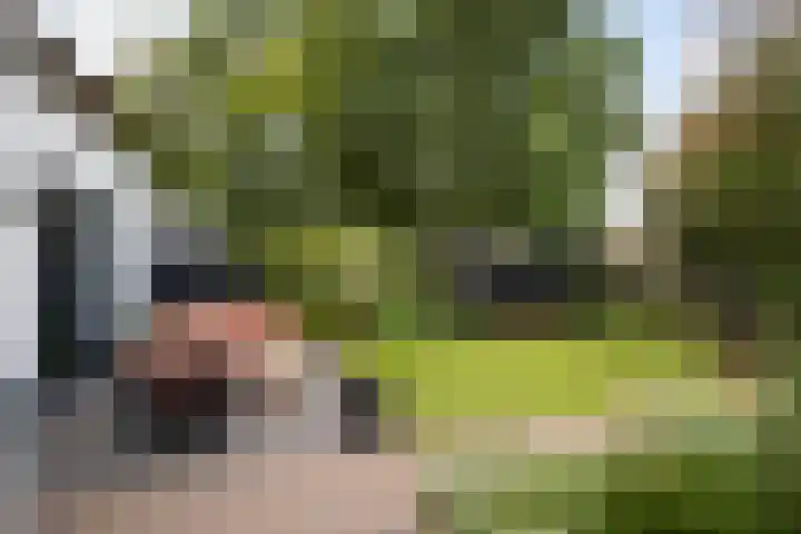 Minorcalaan 3 Barneveld thumbnail 32