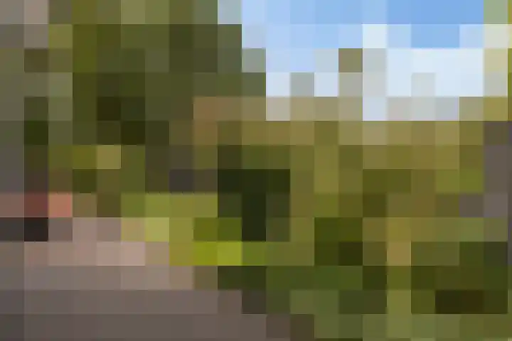 Minorcalaan 3 Barneveld thumbnail 33