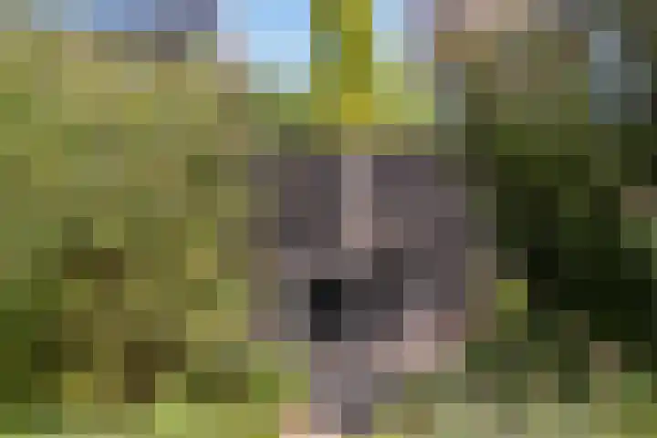 Minorcalaan 3 Barneveld thumbnail 34