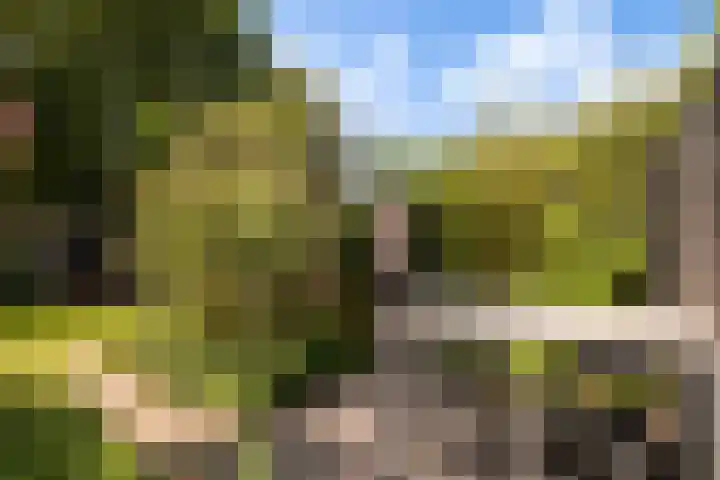Minorcalaan 3 Barneveld thumbnail 35