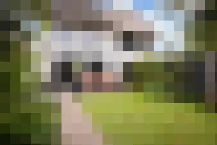 Minorcalaan 3 Barneveld thumbnail 37