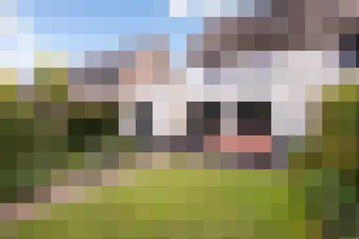 Minorcalaan 3 Barneveld thumbnail 38