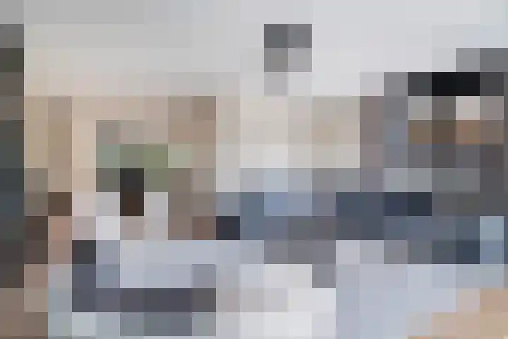 Minorcalaan 3 Barneveld thumbnail 6