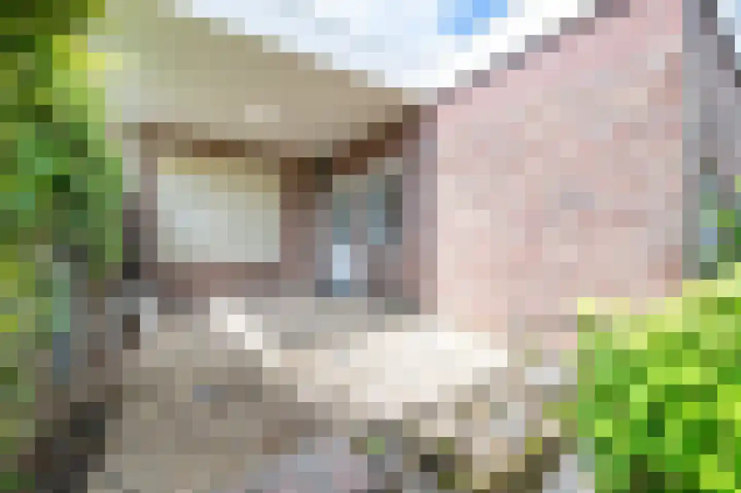 Minorstraat 8 Nuth thumbnail 32