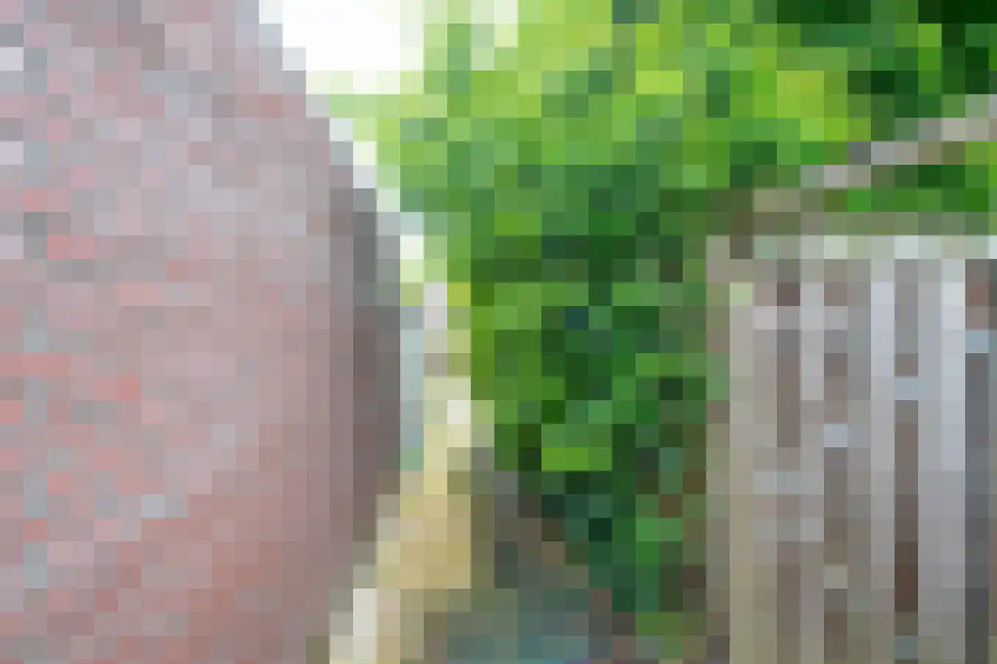 Minorstraat 8 Nuth thumbnail 35