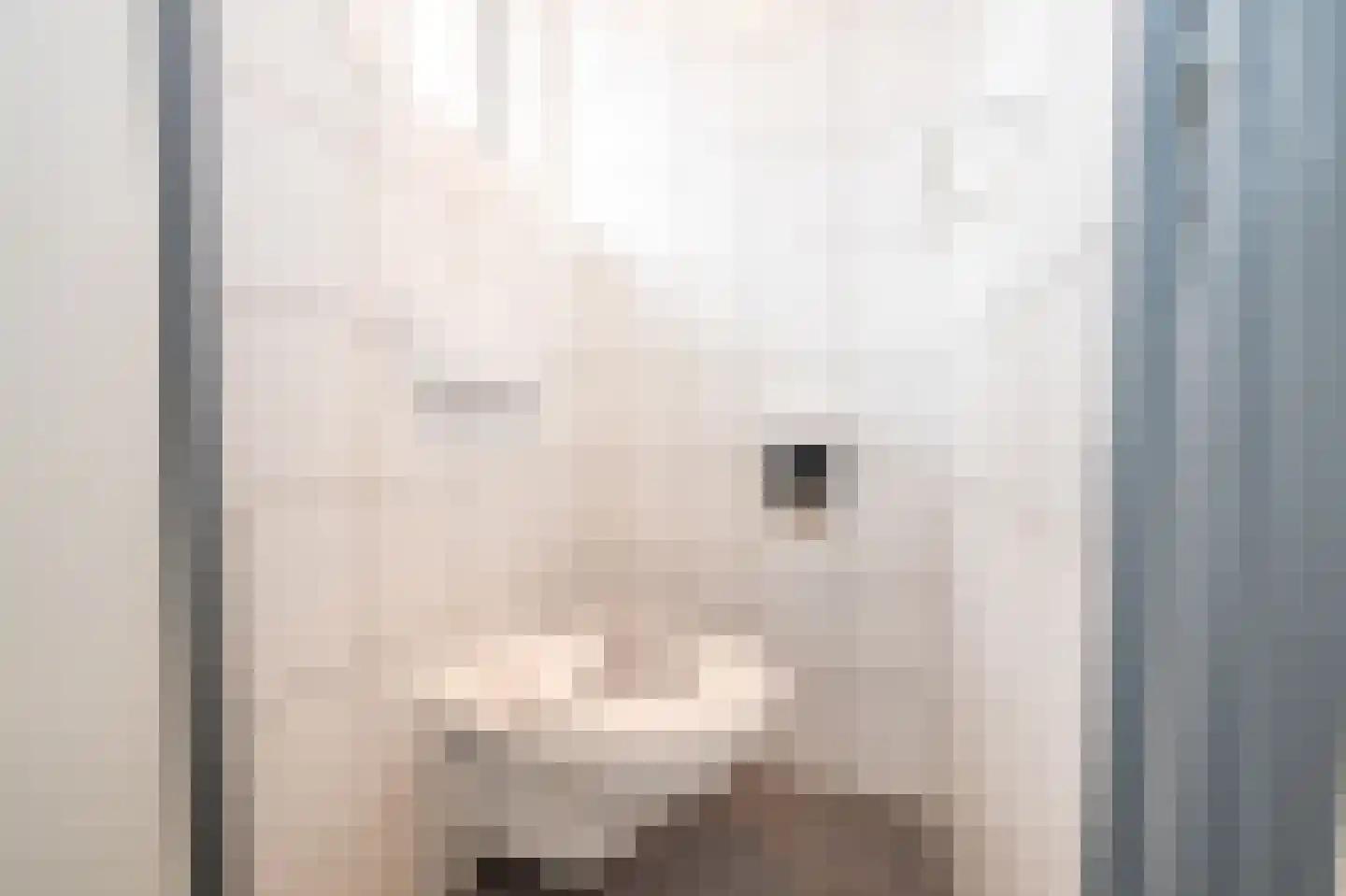 Minorstraat 8 Nuth thumbnail 5