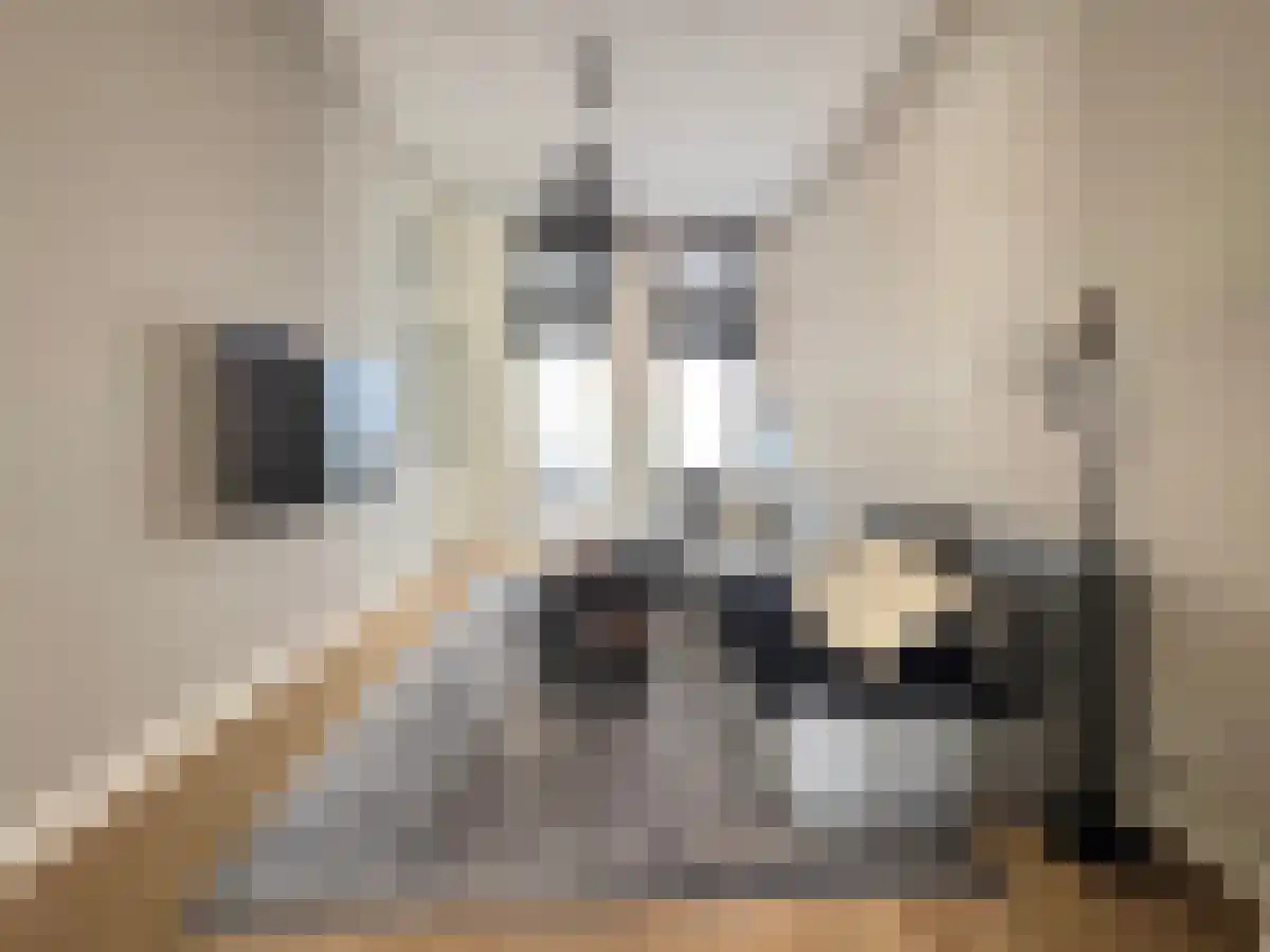 Minrebroederstraat 23 Utrecht thumbnail 4