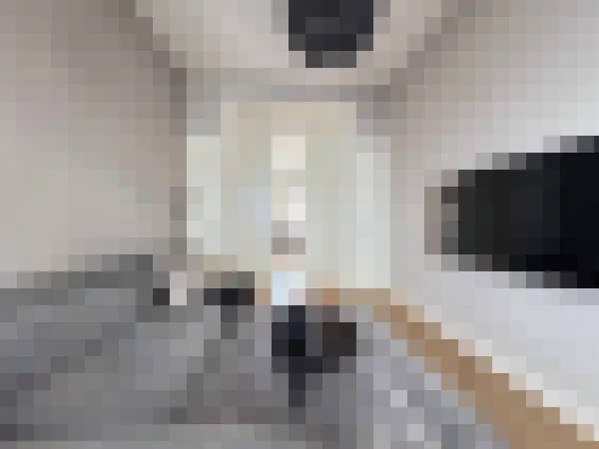 Minrebroederstraat 23 Utrecht thumbnail 5