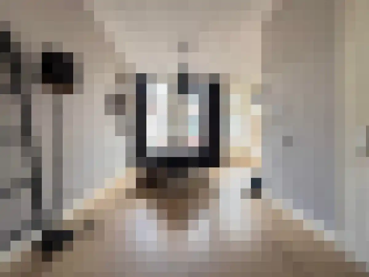 Minrebroederstraat 23 Utrecht thumbnail 6