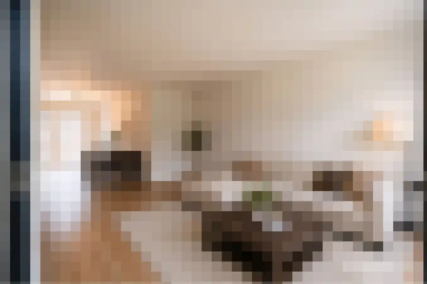 Minstraat 16 Asperen thumbnail 11